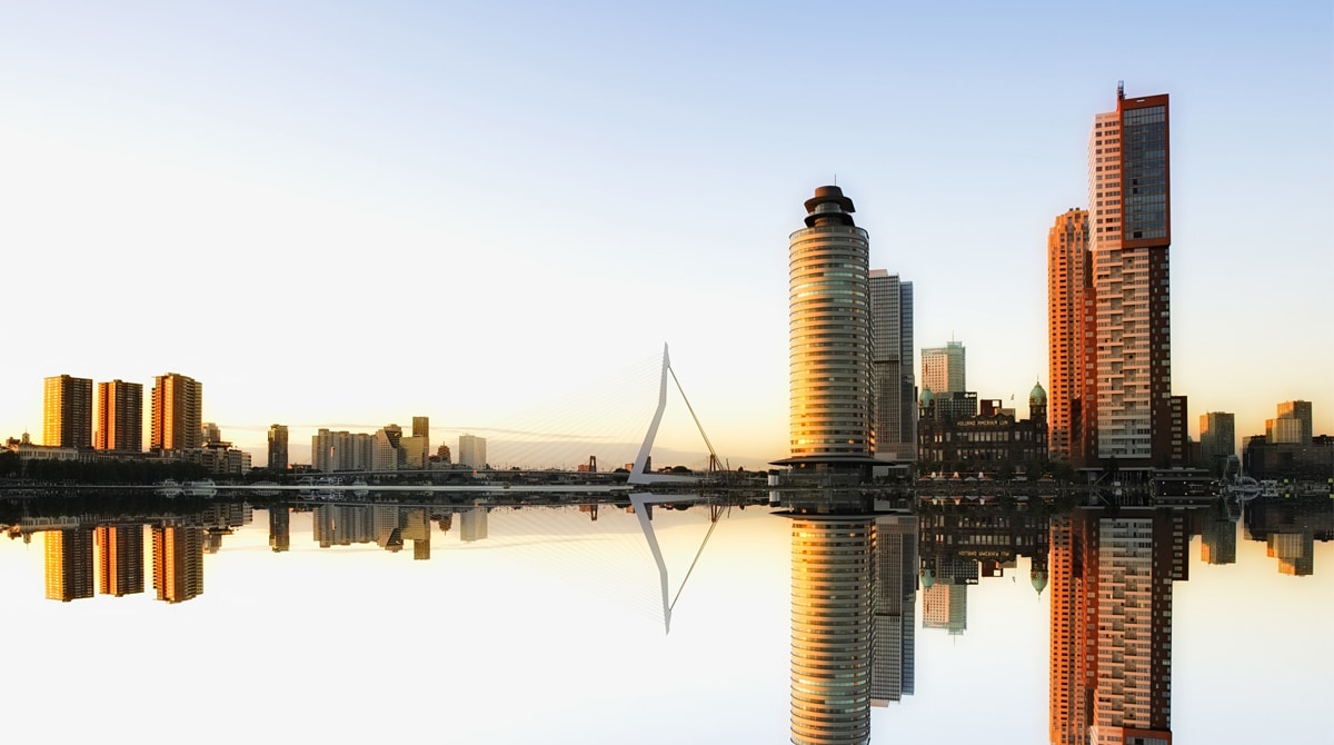 management conference