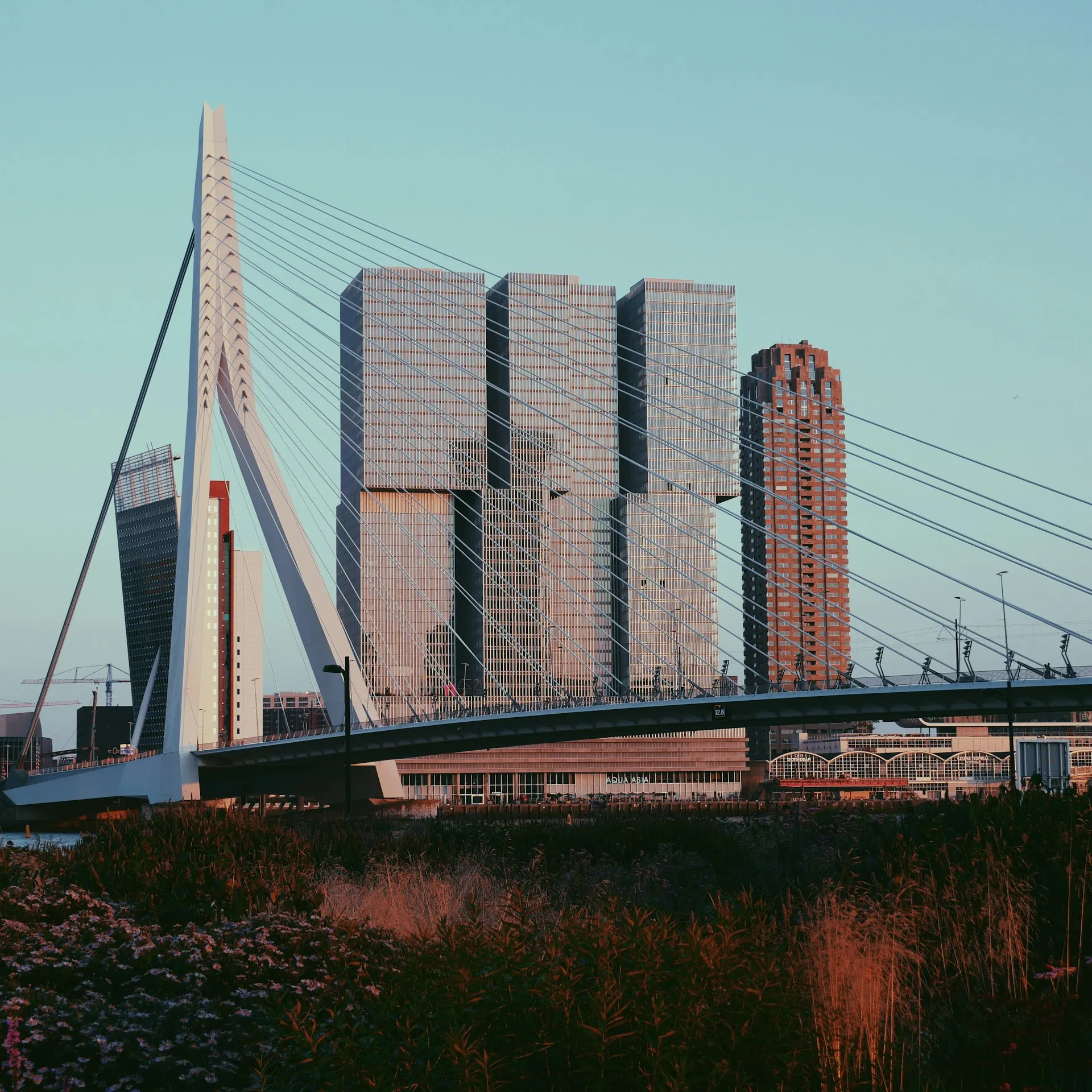 management conference